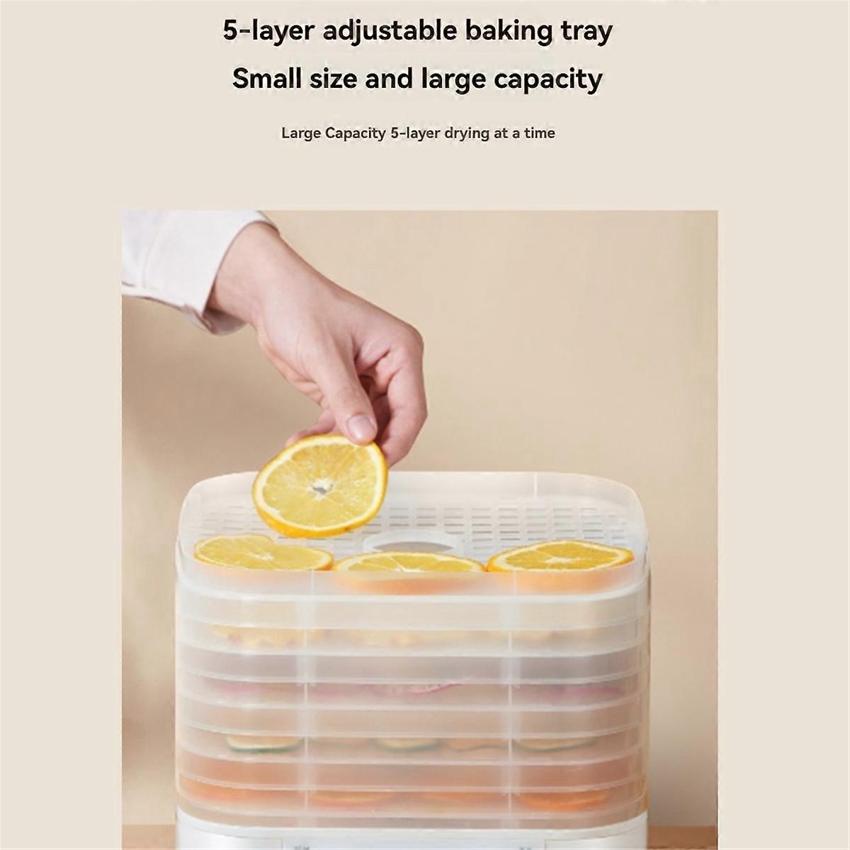 5 Layer Smart Electric Food Dryer Timing Function Fruit Vegetable Dehydrator Machine for Dry Beef Jerky A US Plug