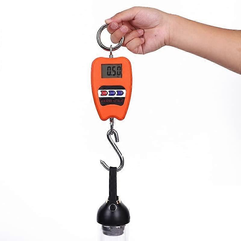 Hanging Scale Crane Scale Industrial Hanging Scale High Accuracy Mini Weighing