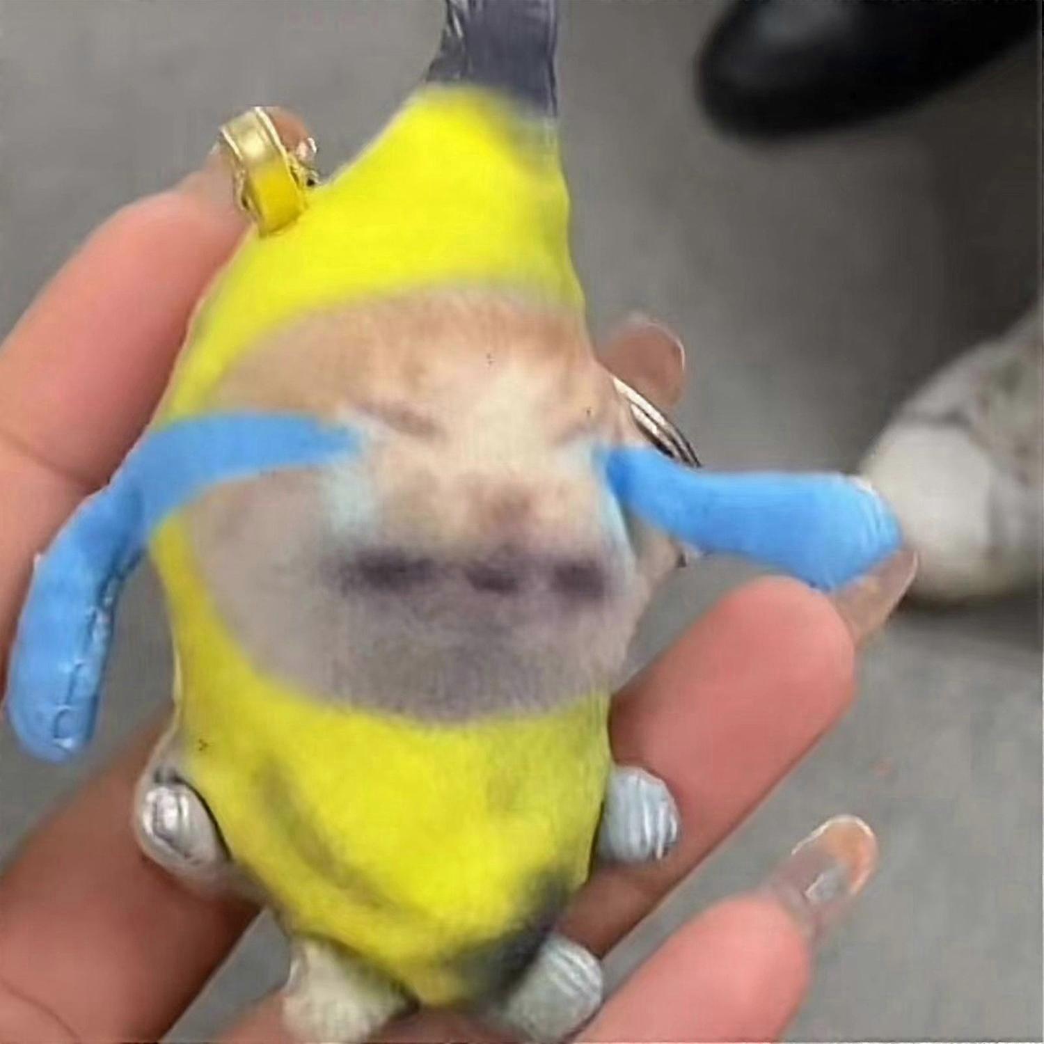 Crying Sounds Keychain, Funny Cat and Cute Banana Design Making Banana Keychain Cat for Backpacks Ha