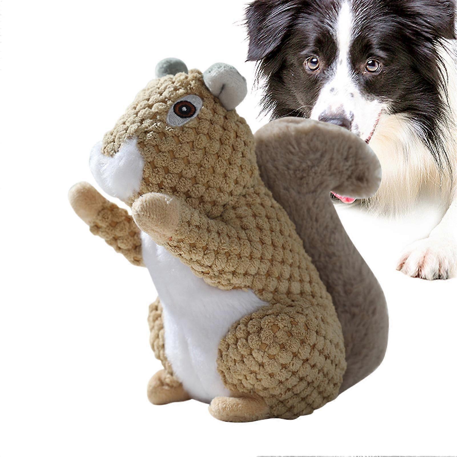 Plush Squirrel Dog Toy, Squeaky, Soft, Teething Relief, PuppyFriendly, 8 Inches