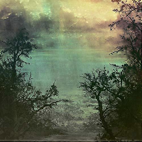 Coltsblood & Un - Split [VINYL]