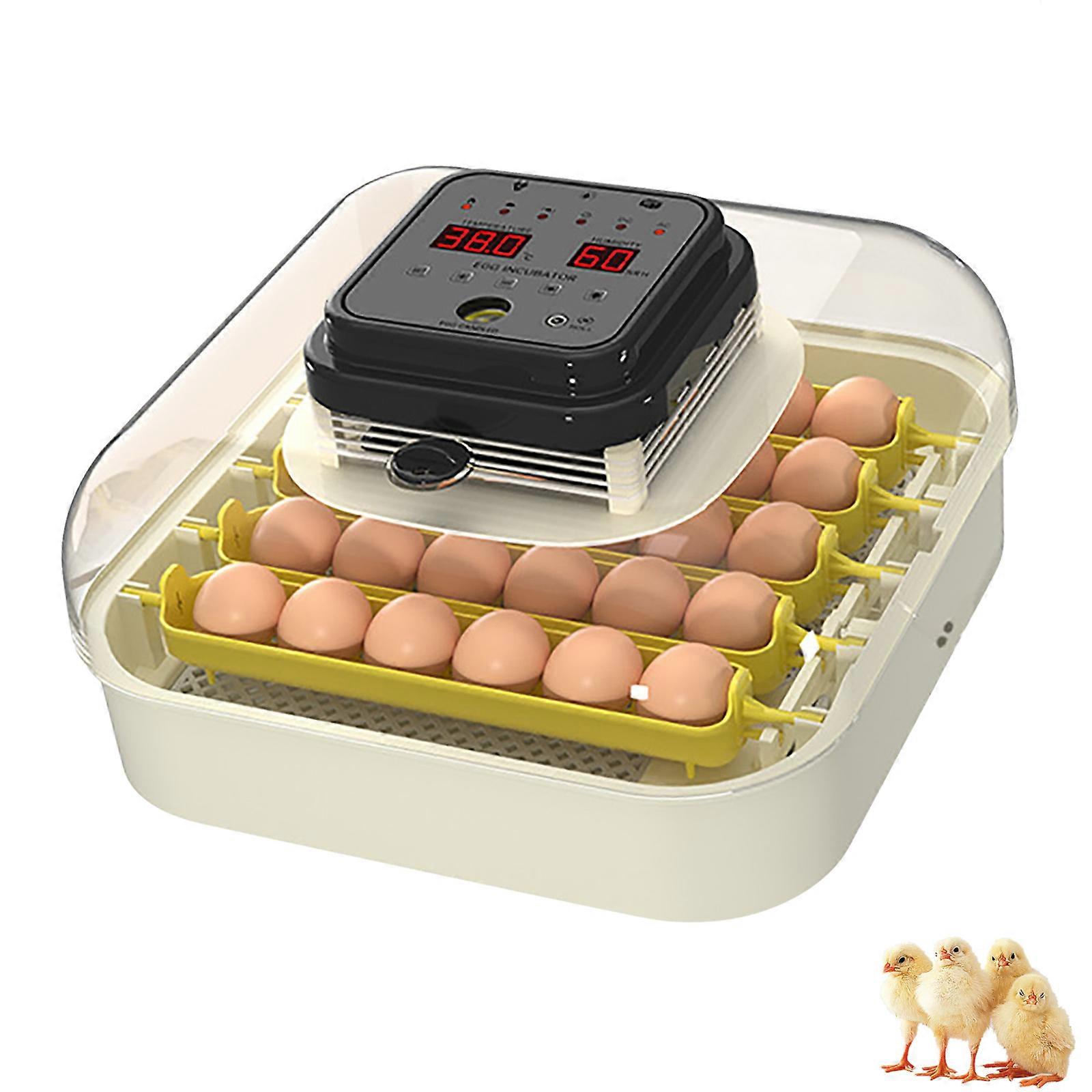 Intelligent Thermoregulation Oocyte Incubator with Quiet Fan Structure for Stable Ventilation Home Poultry Hatching Multicolor