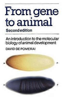 From Gene to Animal