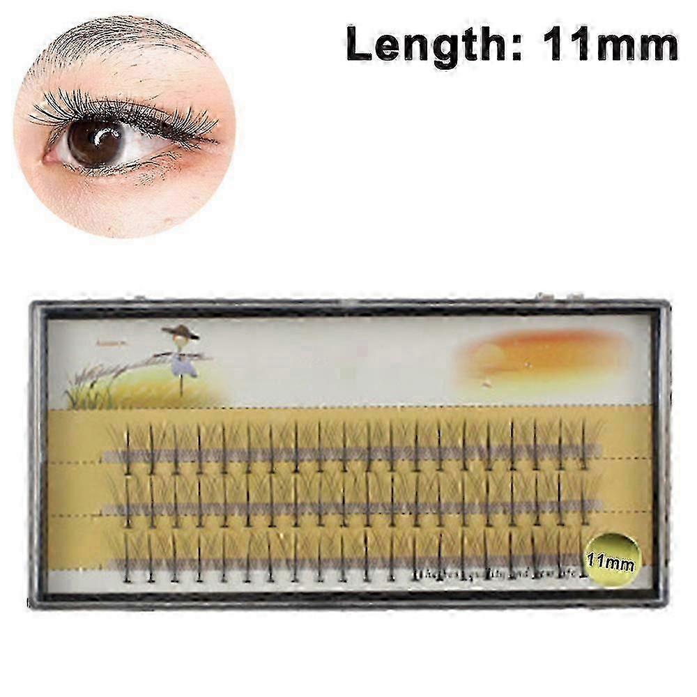60pcs 5D Premade Volume Eyelash Extensions Mixed Tray Long Stem Fans