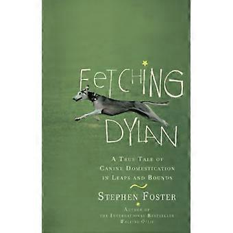 Fetching Dylan: een waargebeurd verhaal over de domesticatie van honden in grote sprongen