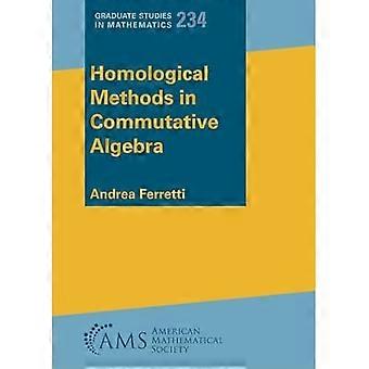 Homologiska metoder inom kommutativ algebra