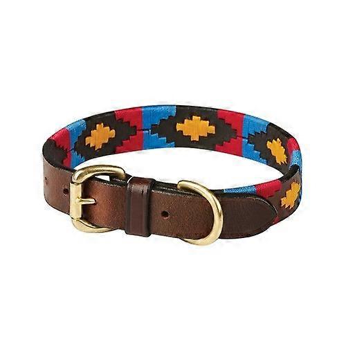 Weatherbeeta Polo Leather Dog Collar