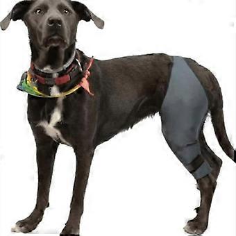 Dog Knee Brace For Acl Knee Cap Dislocation Arthritis Keeps The Joint Warm Extra Support Reduces Pain And Inflammation for Canine Care pzww