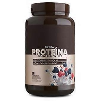 Protein flavor forest fruits with Greek yogurt 1000 g of powder