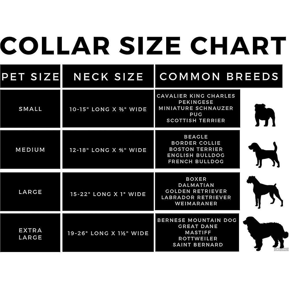 thumbnail image 4 of Collares para perros para machos pequeños, medianos y grandes y, 4 of 5