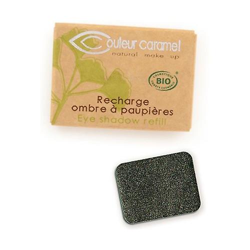 Eye shadow refill n ° 118 Gray Star green pearly 1,3 g of powder