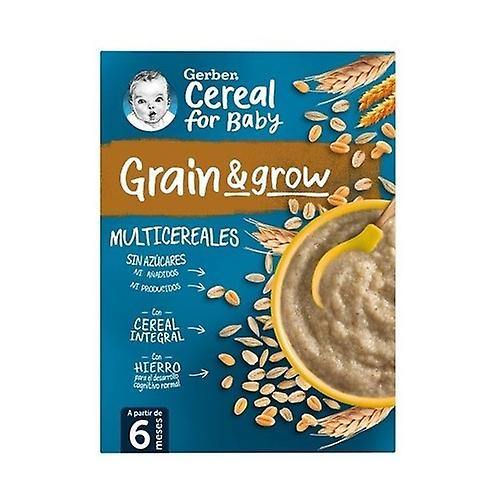 Multigrain Porridge 6m + 180 g