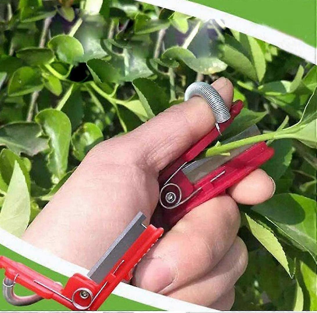 أداة قطف نبات الحديقة ، قطف الإصبع قطف السكين قطف قطف حصاد الشاي