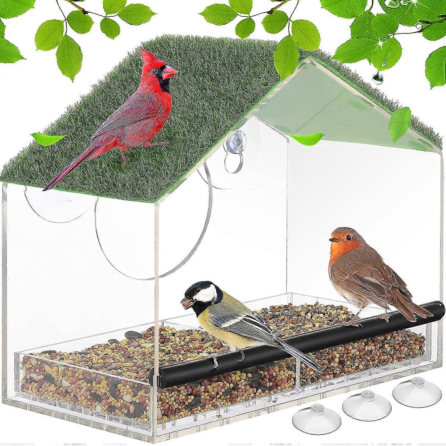 Strong Suction Window Bird Feeder, Large Capacity, Detachable Tray, Clear Viewing