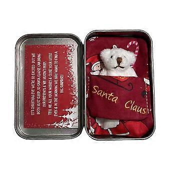 Festive Christmas Pocket Bear Hug Mini Bear Plush Bear Toy in a Tin Box Stuffed Animal with Greeting Cards Children Gift  White Bear Green Bag