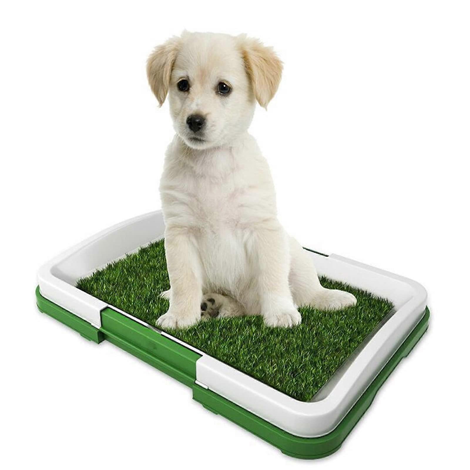 Pet Toilet with Lawn Grid