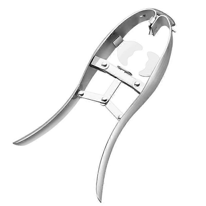Stainless Steel Egg Scissors Eggshell Cutter Egg Topper Cracker Separator|Egg Scissors