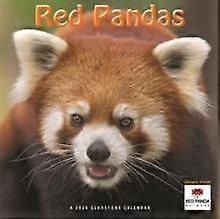 Red Pandas Square Wall Sunday Start Cale Calendar Book