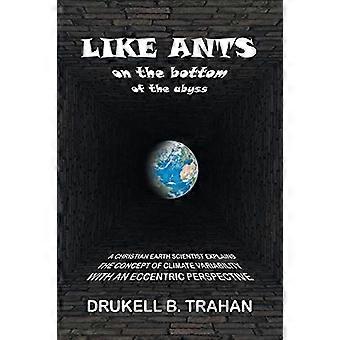 Als mieren op de bodem van de afgrond: een christelijke aardwetenschapper legt het concept van klimaatvariabiliteit uit met een excentriek perspectief