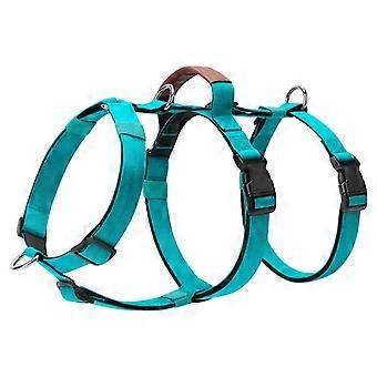 Dog Harness Anti Escape Vest Adjustable Training Vest Pet Strong Training Walking Swimming Hiking Anti Escape Belt Blue