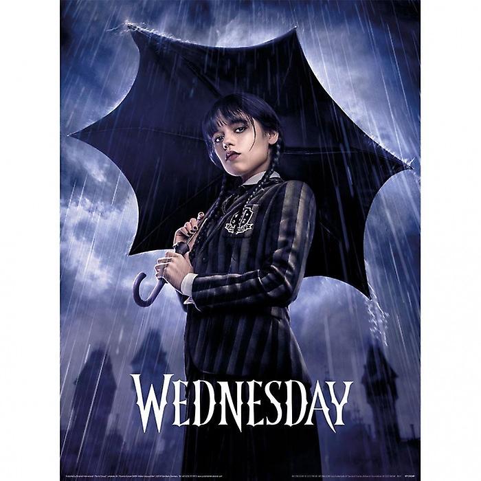 Wednesday Downpour Poster