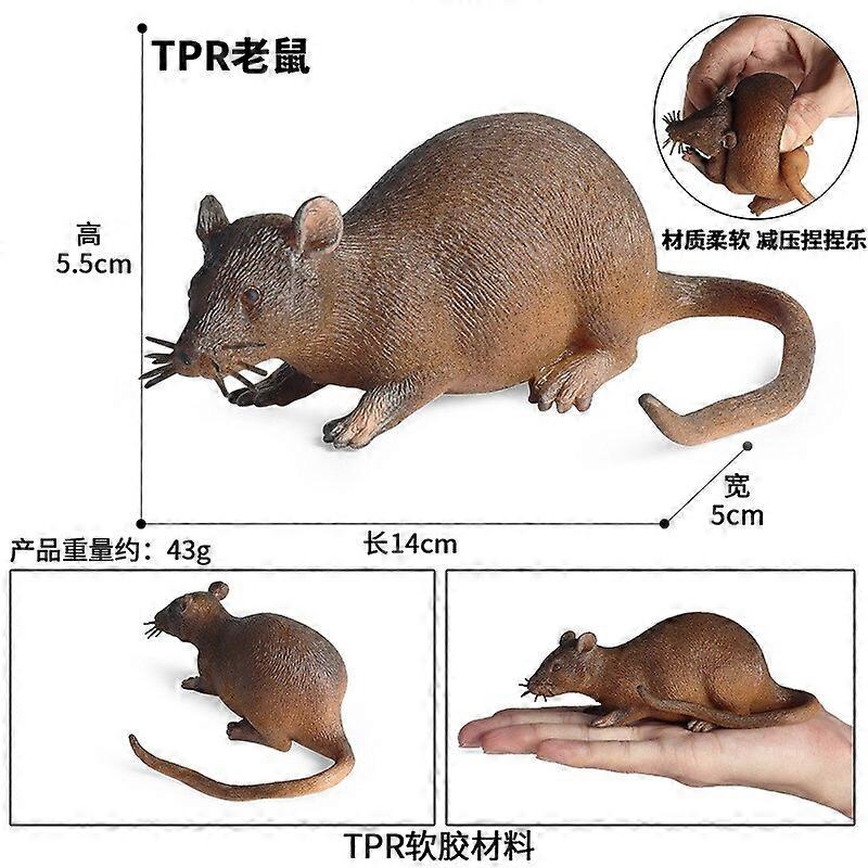 Soft TPR Wild Animal Action Figures Crocodile/ Frog / Pangolin/ Mouse/ Tadpole Animal Figure Kids Cognitive Toys