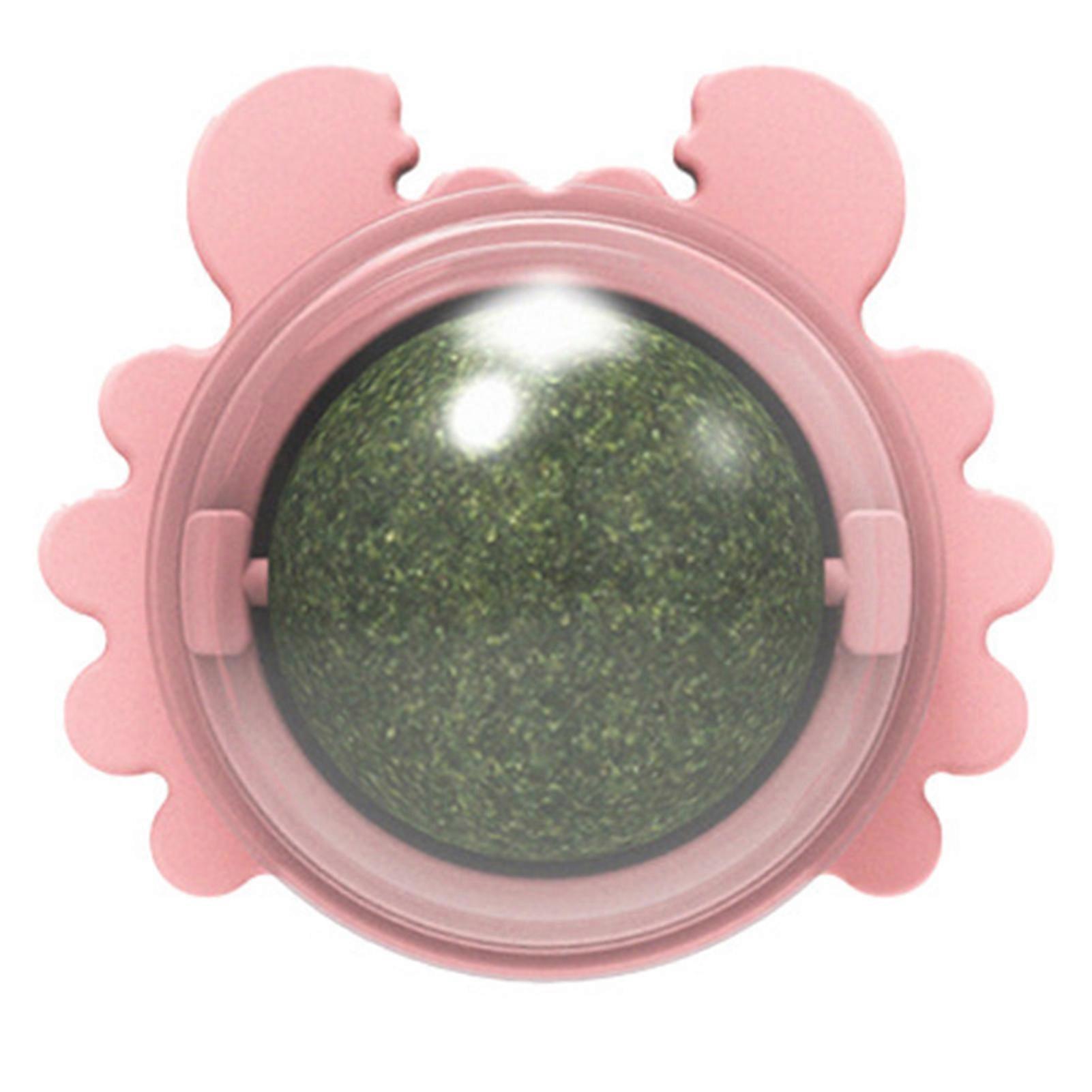 Catnip Ball Cat Toys Interactive Teasing Cat Toy Pet Cat Teeth Cleaning Tool