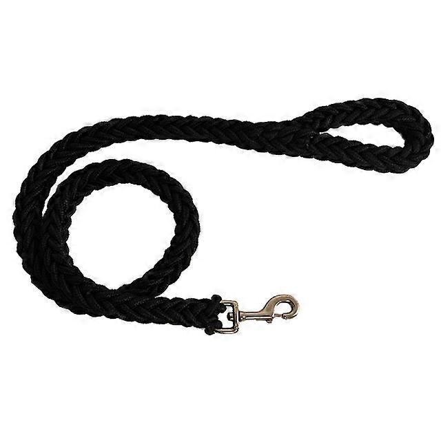 Durable Nylon Big Dog Leash
