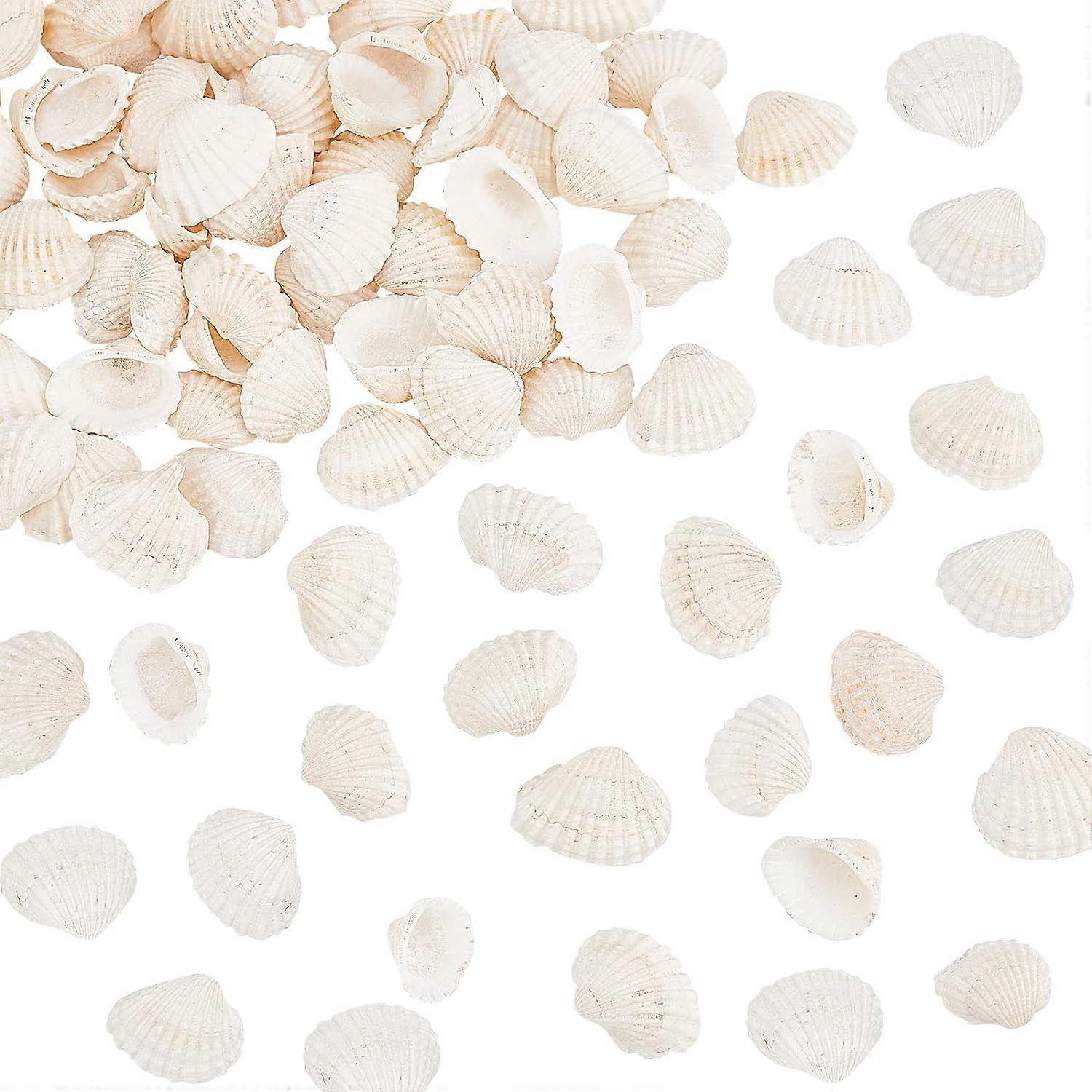 45~55pcs White Natural Conch Shell Beads Undrilled/No Hole Tiny Scallop Sea Shells Ocean Beach Seashells Craft Charms for Candle Making Home Decoratio