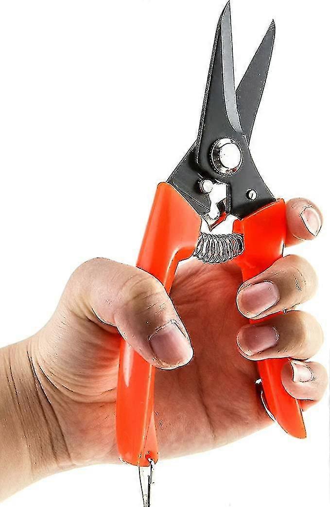 Zk-hoof مقصات الألبكة خنزير تروترز بوش الانتهازي الكربون الصلب