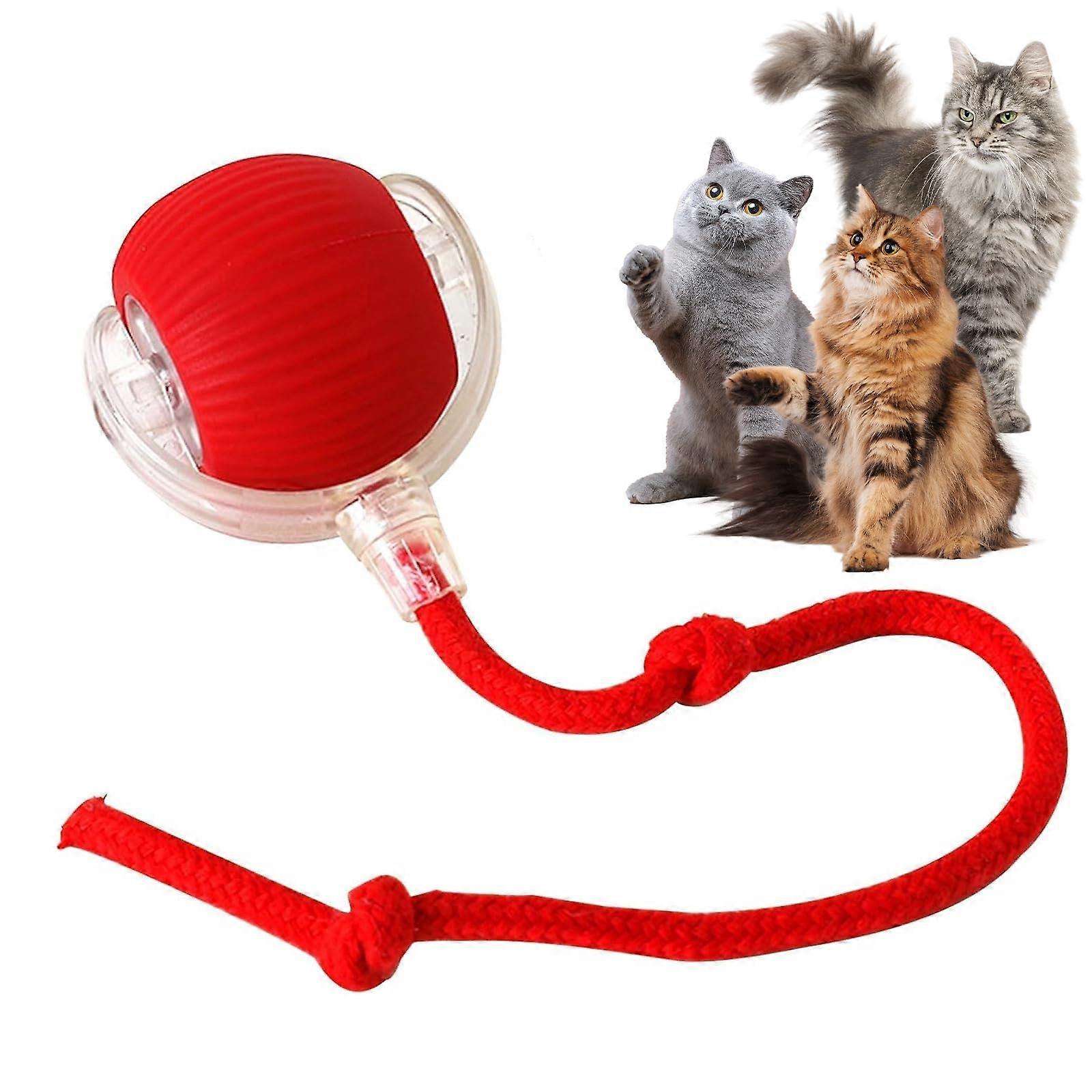 Interactive Cat Toy for Indoor Use, Smart Automatic Cat Chase Ball with Rechargeable Battery and Adjustable Speed