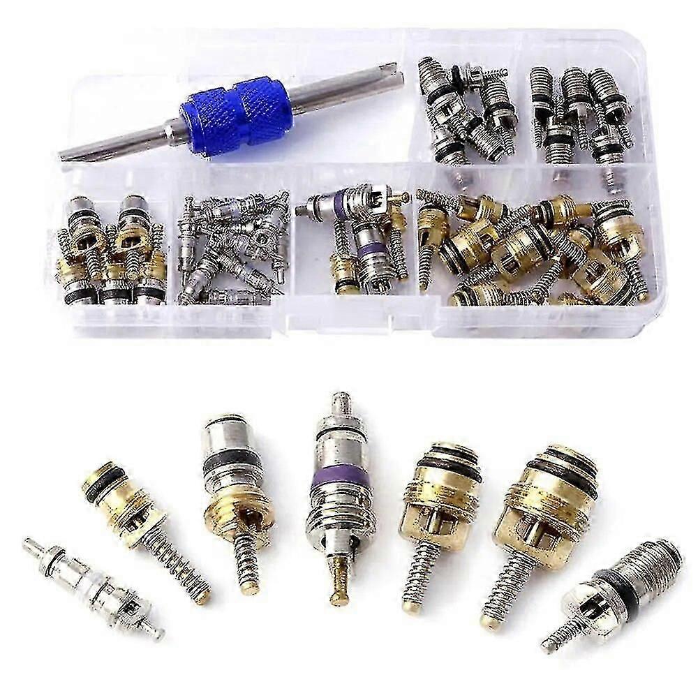 Auto Car Air Conditioning R12 R134a Ac Schrader Valve Cores Removal Tool Kit A/c Seal Kit Air Conditioning Auto Service Csv Hr