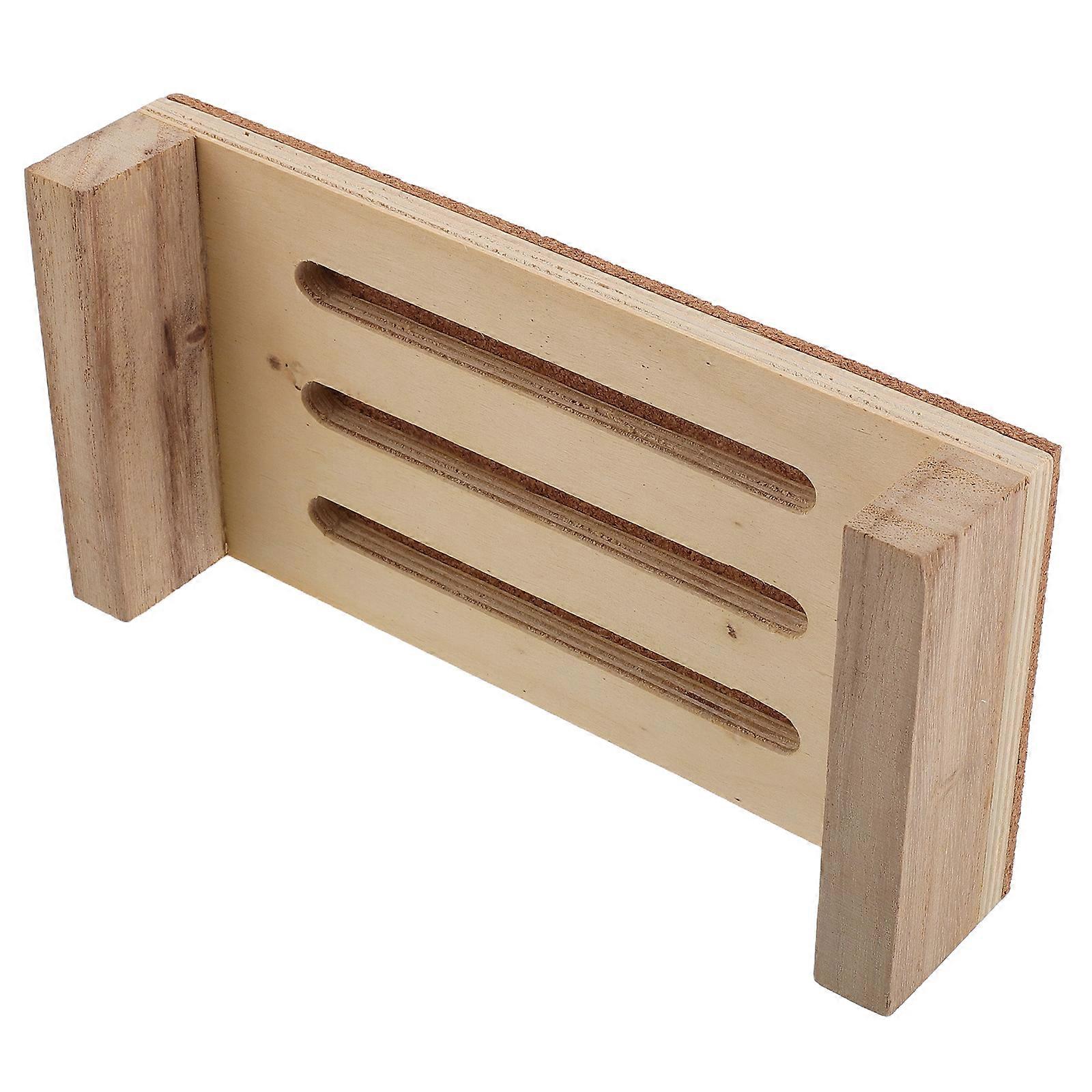 Specimen Display Panel Mounting Board For Educational Purpose Cork Leg Spreading 20.00X10.00X4.00CM 1Set