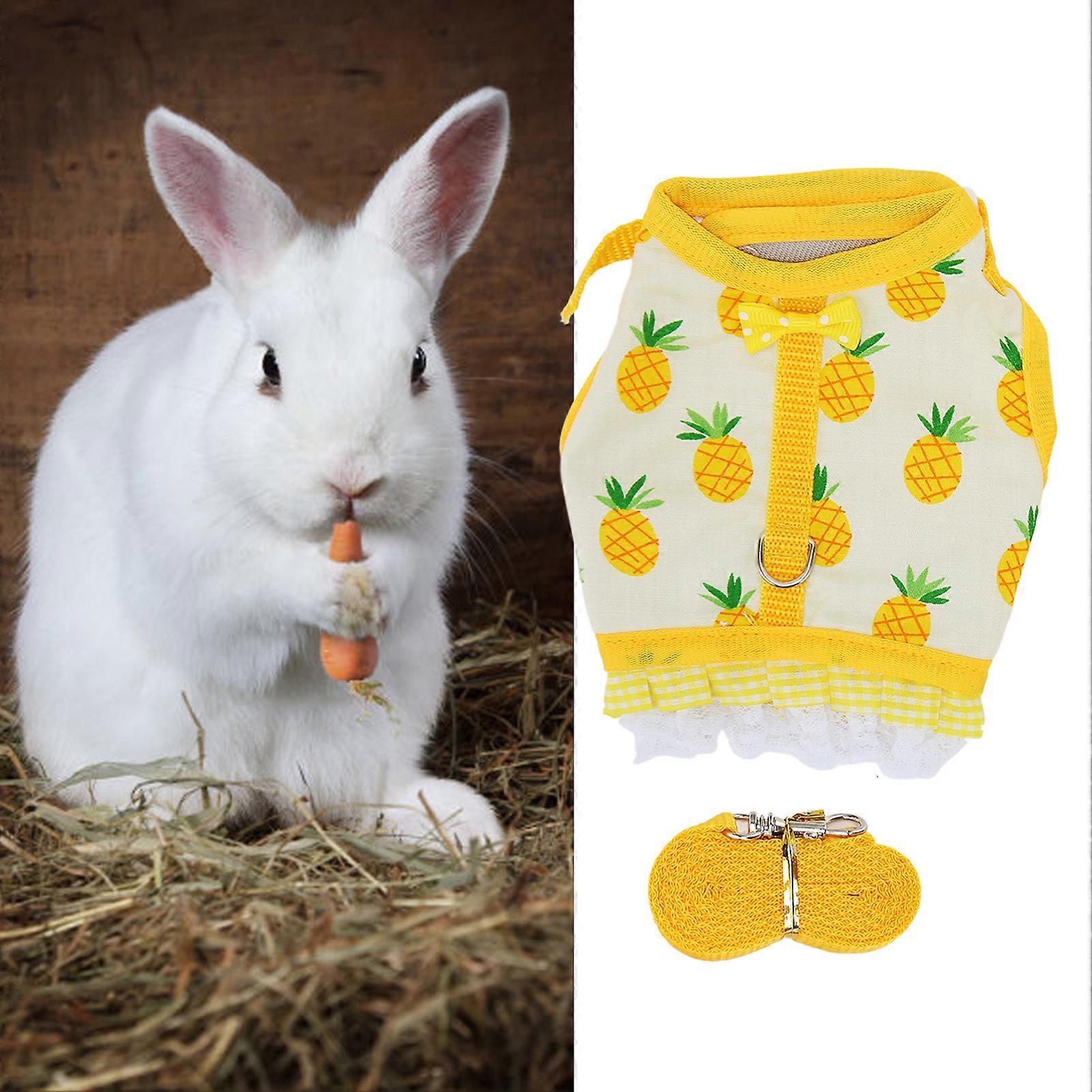 Rabbit Vest Leash Fruit Printing Lace Hem Hook and Loop Design Small Animal Harness Set for Chinchilla Ferret M 