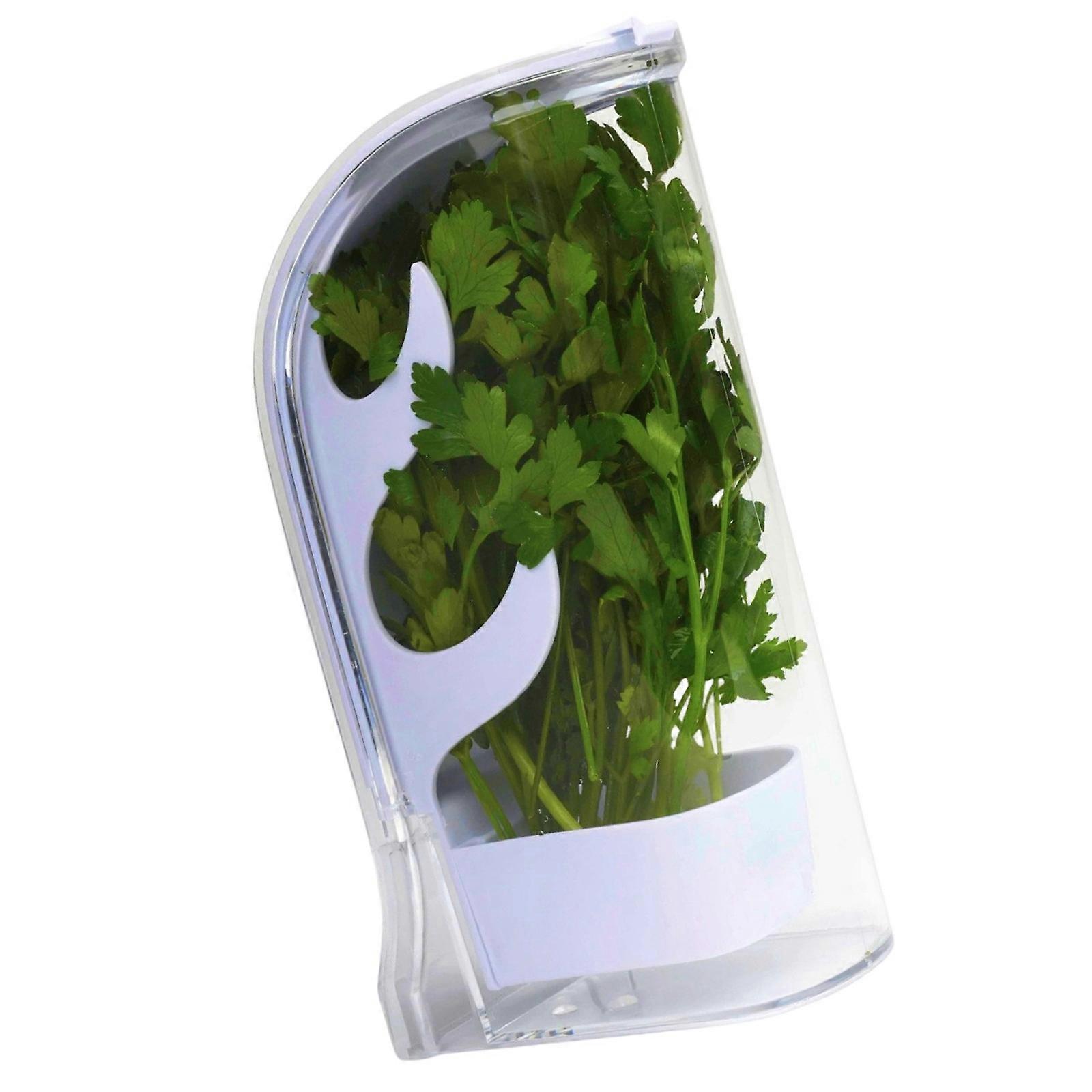 Freshing Extenders Container For Greens Prevents Wilting With Airflows And Reusable Construction Multicolor