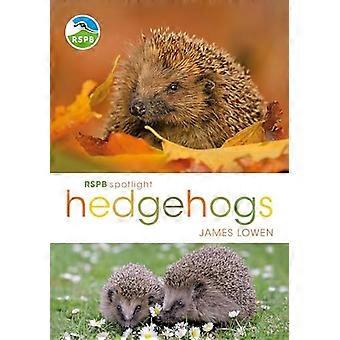 RSPB Spotlight piggsvin