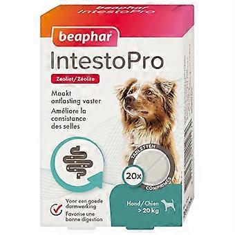 Beaphar Intestopro Dog >20 kg 20 Tablets - Gut Flora Support