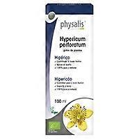 Hypericum Extract (Hypericum P.) Bio 100 ml