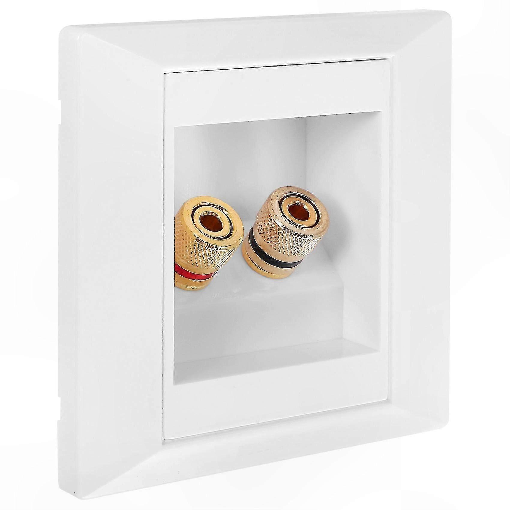 Dual Jack Speaker Port for Wall Socket Connection
