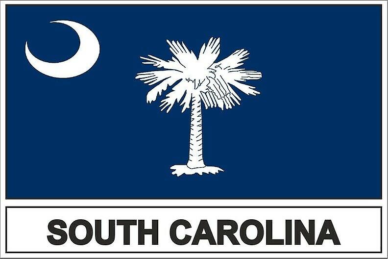 Sticker sticker flag usa South Carolina