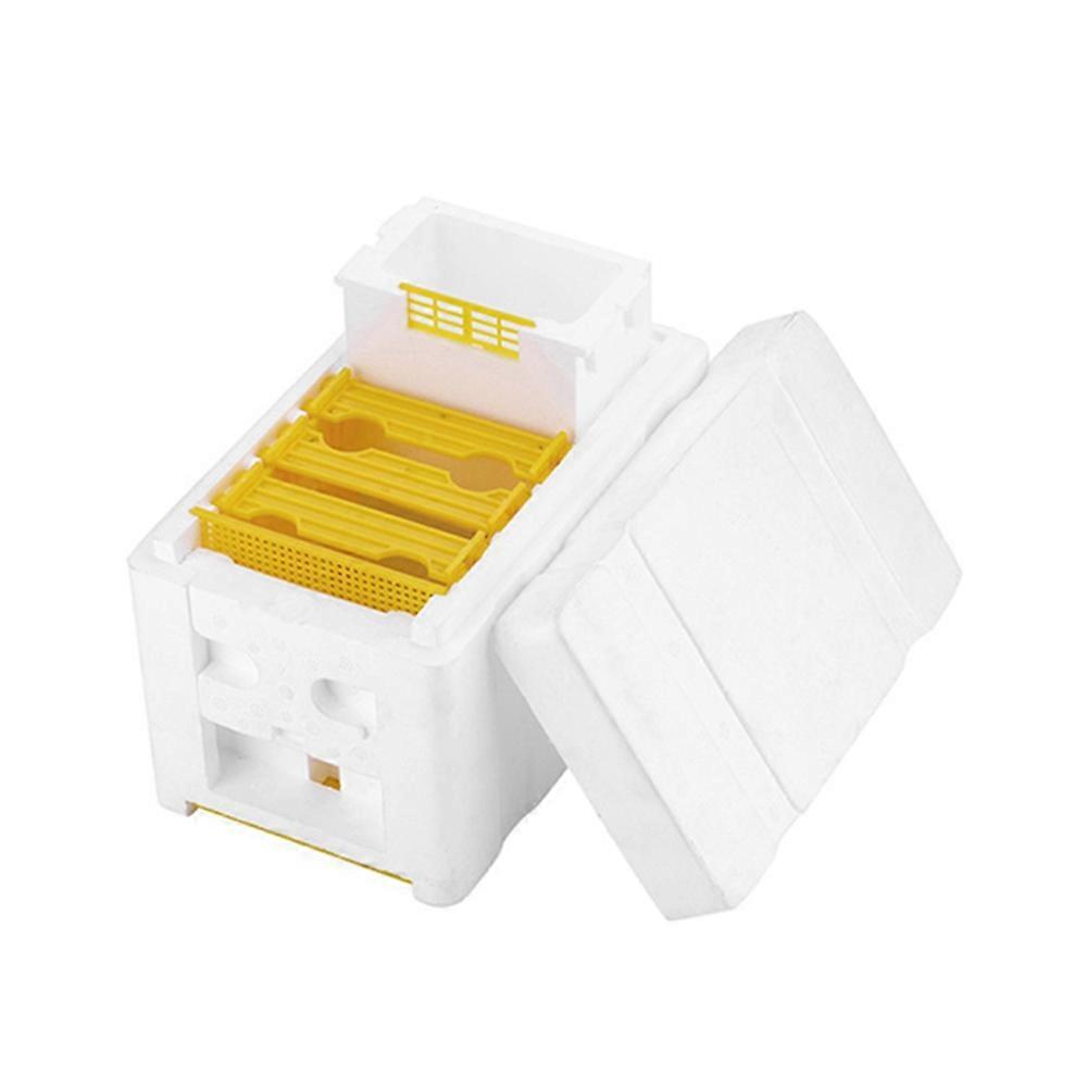 Beehive Box Harvest Queen Pollination Beekeeping Mating Copulation Reserve Case JIKAIX