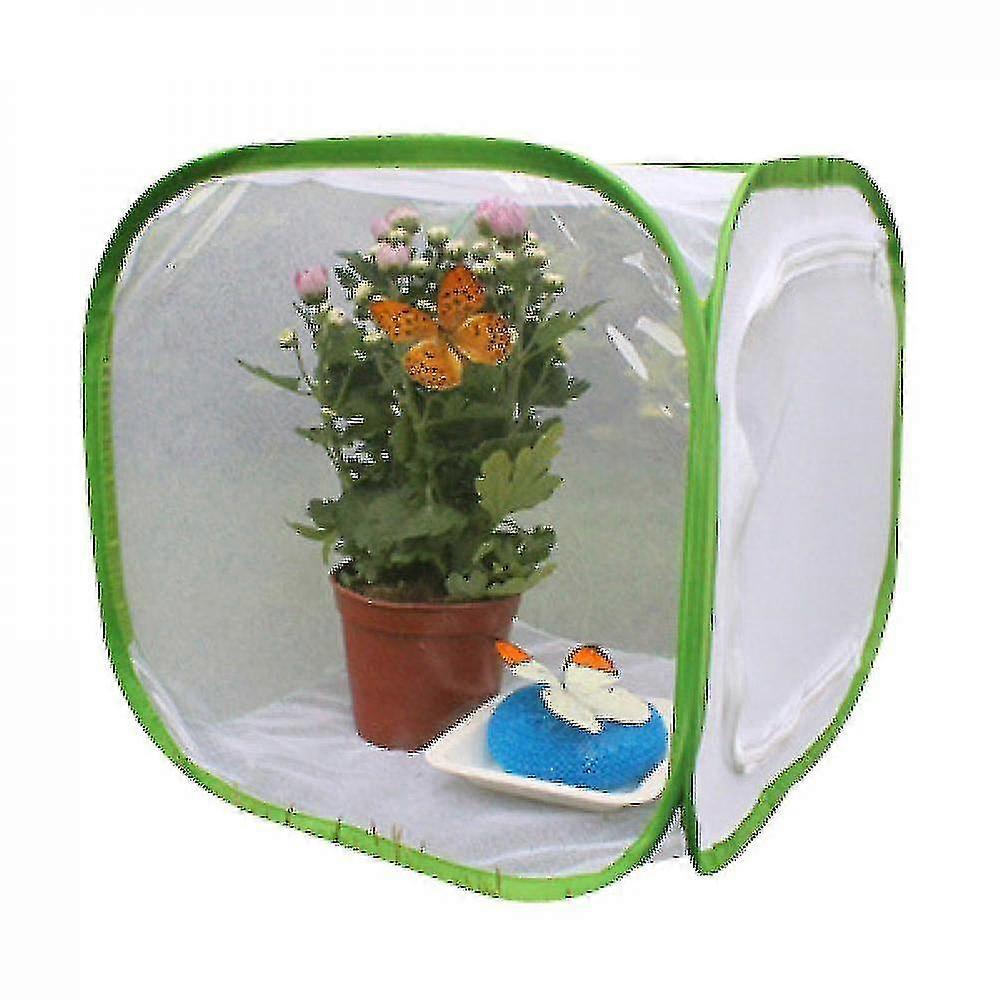 Foldable Insect Cage Three Sizes