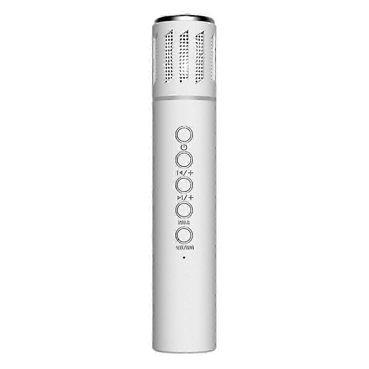 Wireless Bluetooth Portable Handheld Microphone Noise Reduction A