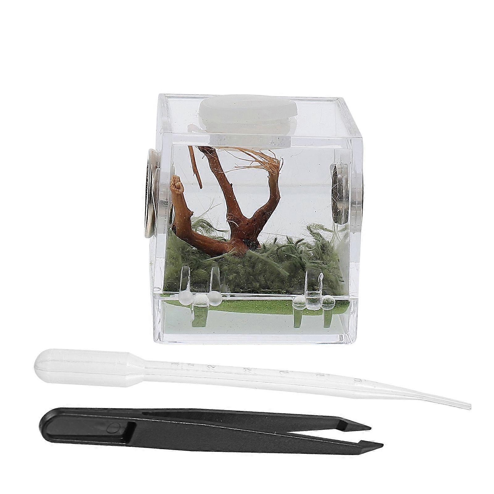 1 Set Reptile Acrylic Feeding Case Acrylic Spider Hatching Container for Home