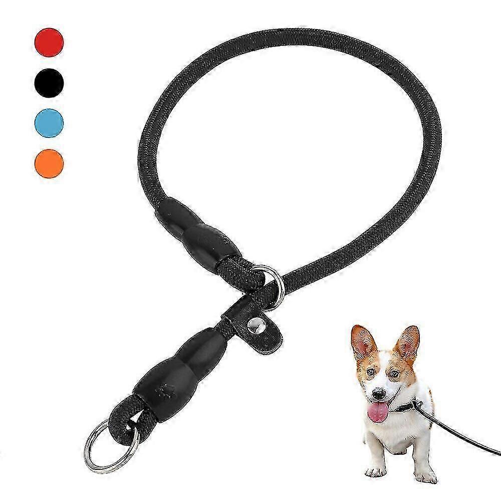 Adjustable Nylon Slip Lead Dog Leash for Training and Walking Pets
