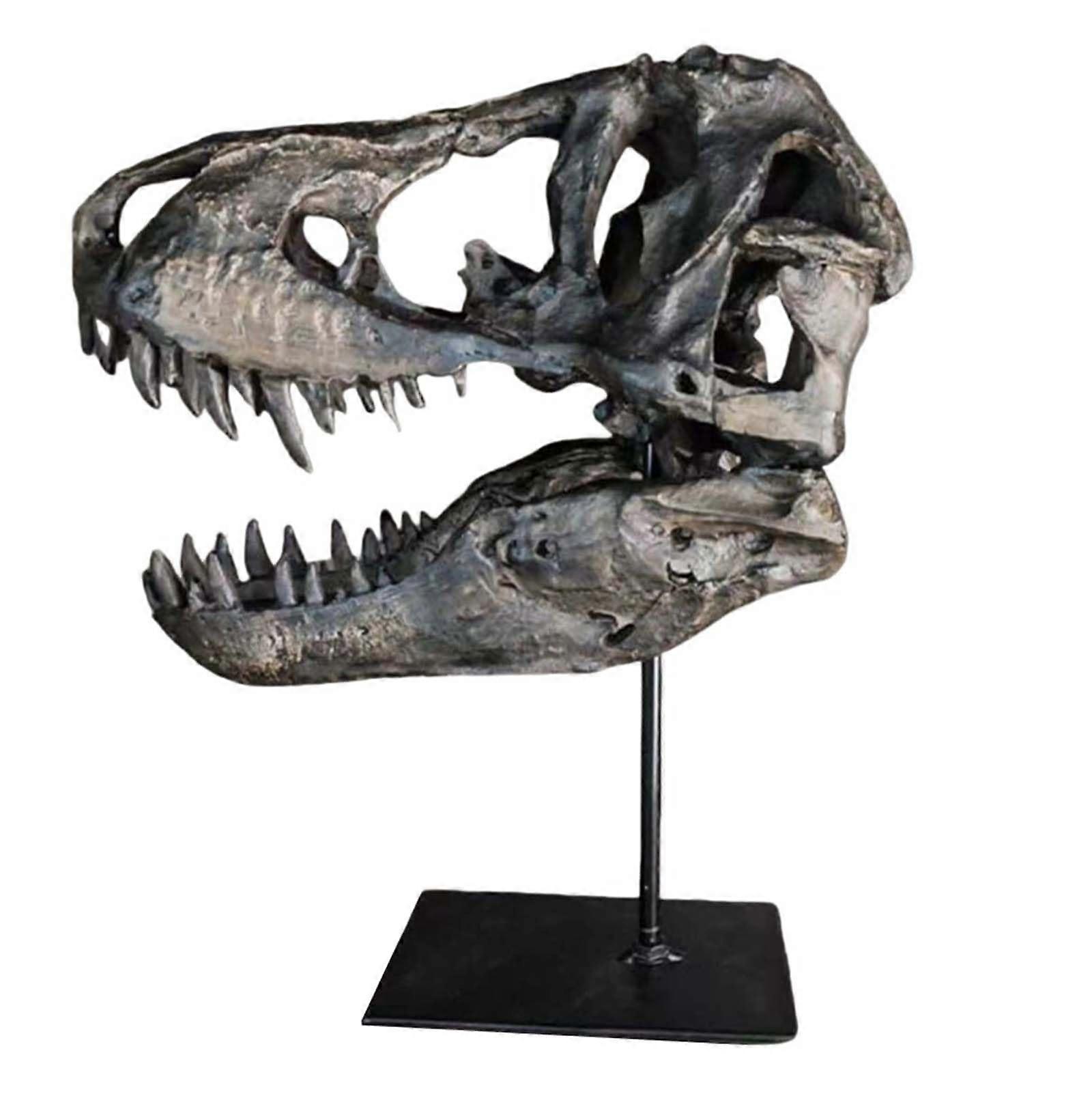 Dinosaur Skull Replica Tyrannosaurus Rex Skull Model, LifeLike Resin, StandardSize Fossil Teaching Skeleton