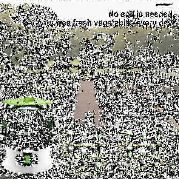 Sprouting machine for automatic bean and seed germination