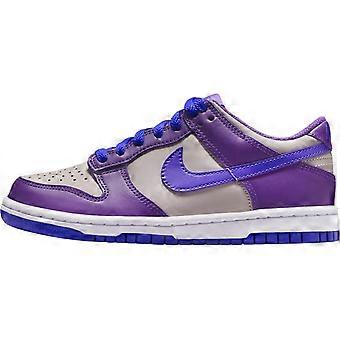 Nike Dunk matalavartiset rullalautakengät harmaanvioletti unisex FB9109-007
