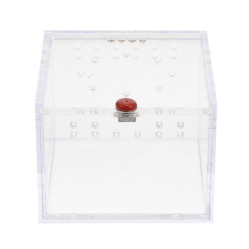 8.5X8.5cm Transparent Color Reptile & Amphibian Habitat Accessories 1pc Mantis Acrylic Breeding Box