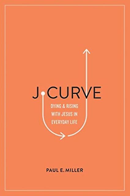 Jcurve by Paul E. Miller Paperback Book